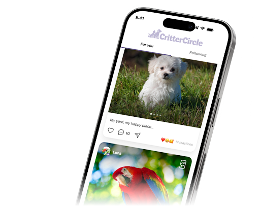 CritterCircle Mobile App CritterCircle Mobile App